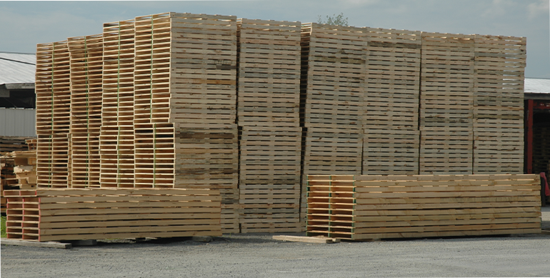 prix palette en bois tunisie